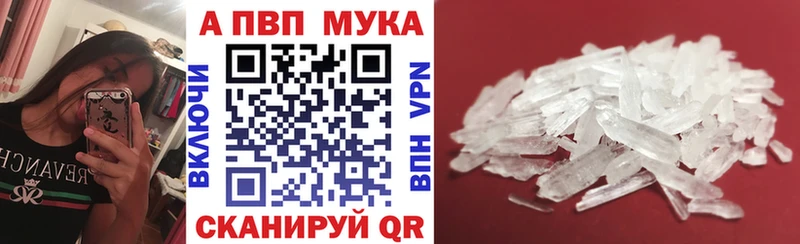 Альфа ПВП СК КРИС  Сыктывкар 