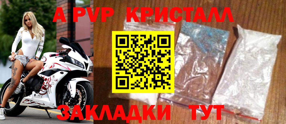 Альфа ПВП СК Сыктывкар