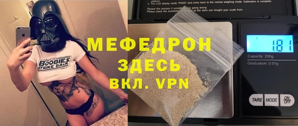 индика Киреевск