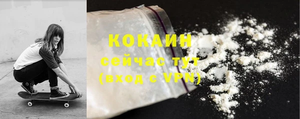 индика Киреевск