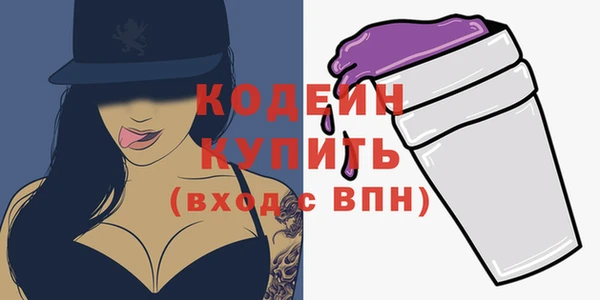 индика Киреевск
