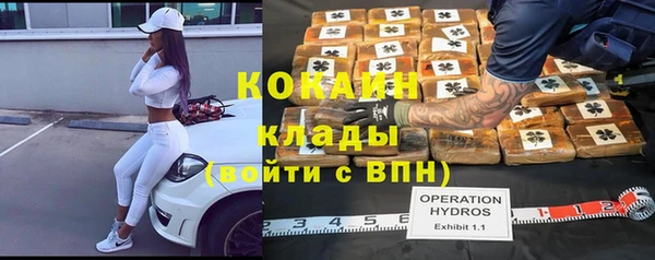 ГАЛЛЮЦИНОГЕННЫЕ ГРИБЫ Каменка