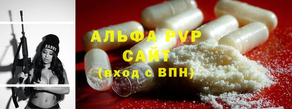 индика Киреевск