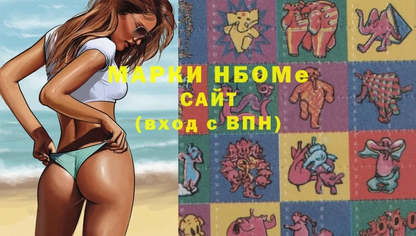 индика Киреевск