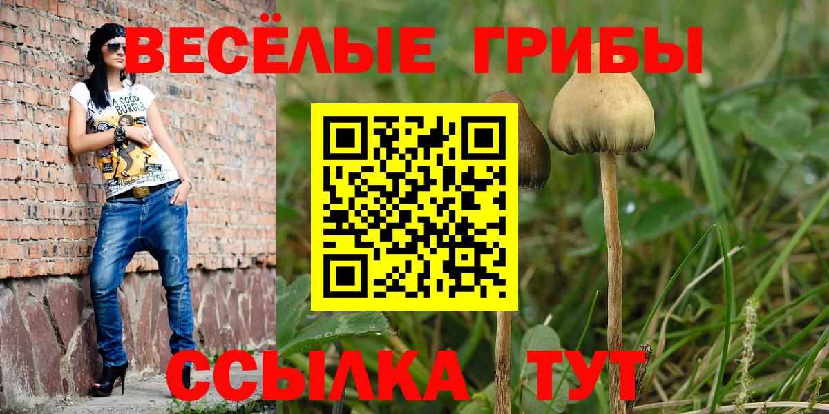 Псилоцибиновые грибы ЛСД Сыктывкар