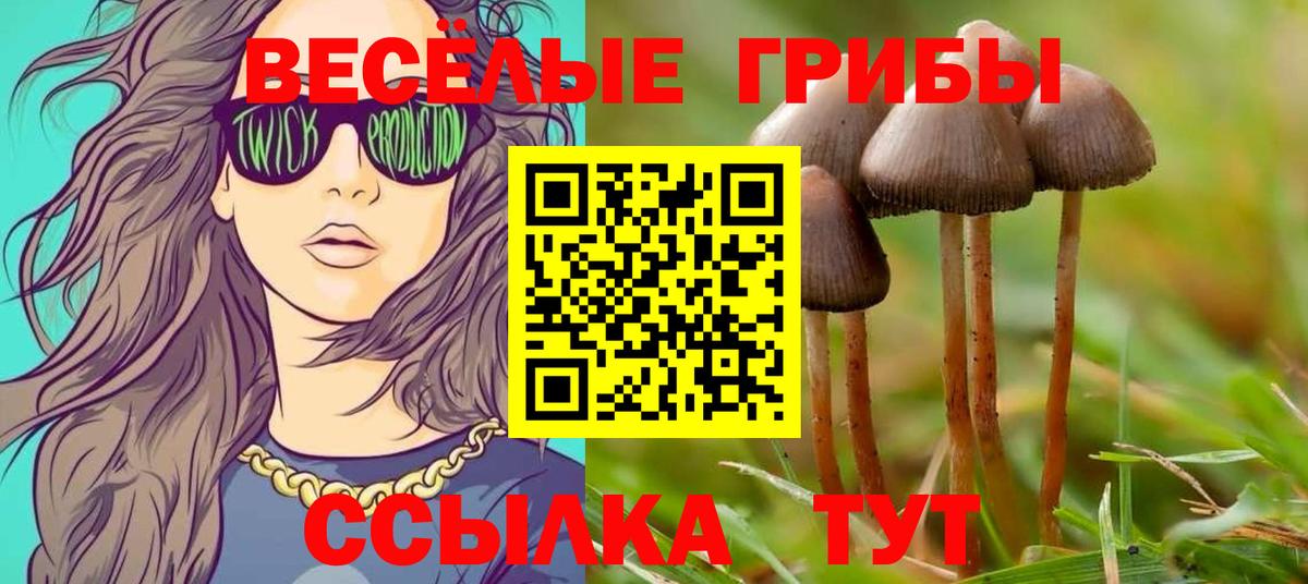 Галлюциногенные грибы Psilocybine cubensis  Вход с VPN  купить наркоту  Сыктывкар 